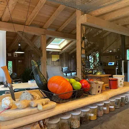 Magnifique Dans La Vallée De Chamonix Chalet Servoz